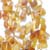 Imperial Topaz
